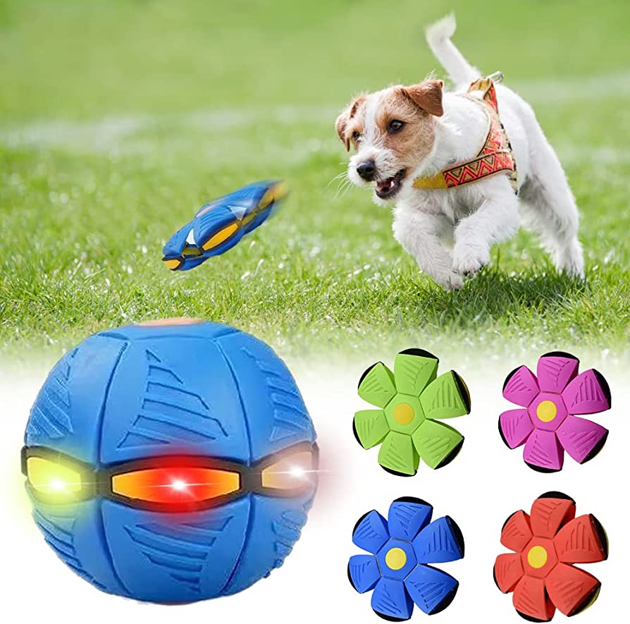 F&F™ Dog Frisbee