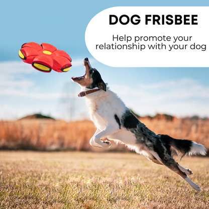 F&F™ Dog Frisbee